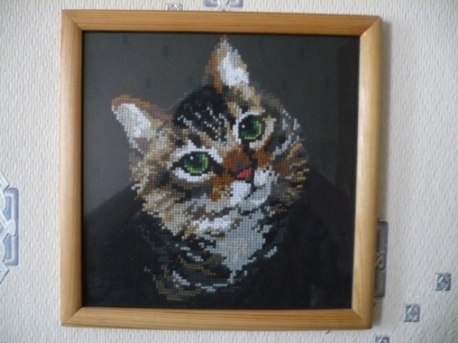 вышивка "кошка"